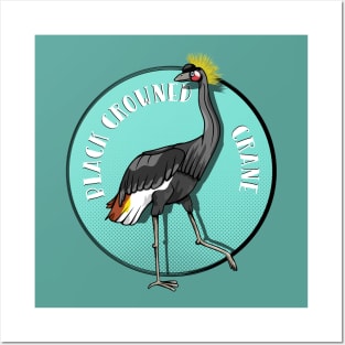 Black Crowned Crane Posters and Art